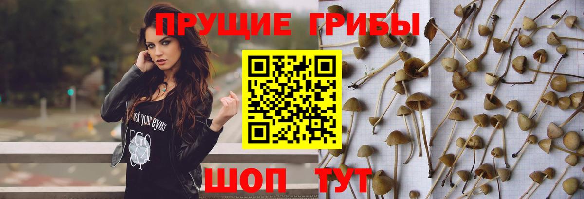 Псилоцибиновые грибы MAGIC MUSHROOMS Изобильный